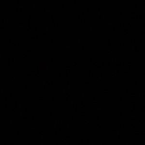 Meet your Posher, Ruby